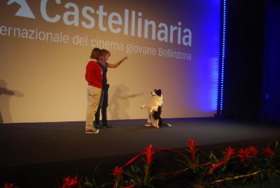 Piccola Rassegna – cinema 's best friend: the dog
